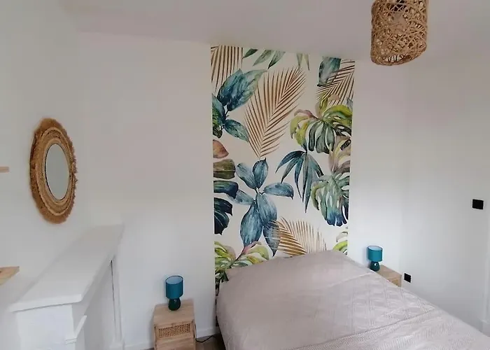 Appartement 50M² Centre-Ville